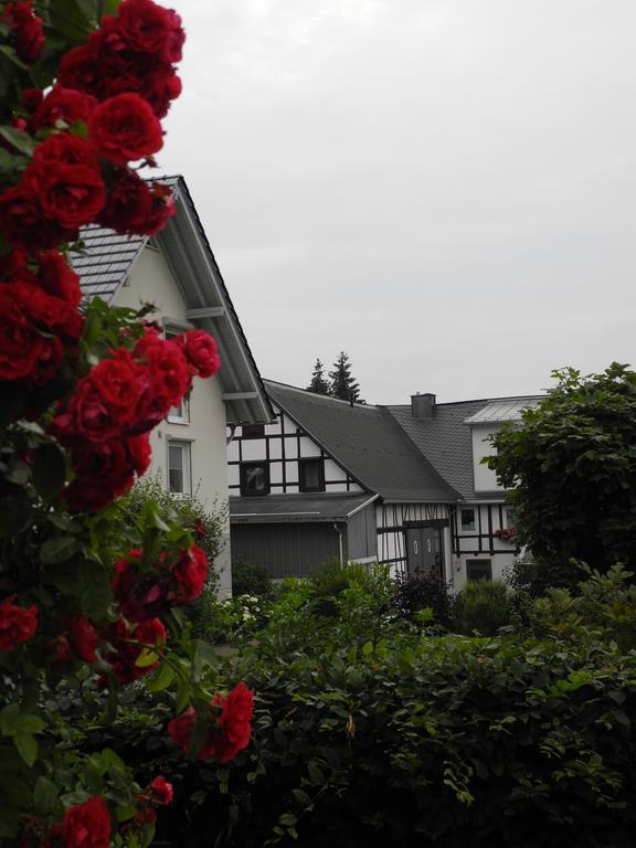 Ferienwohnung Wilkenhof Willingen  Exterior foto